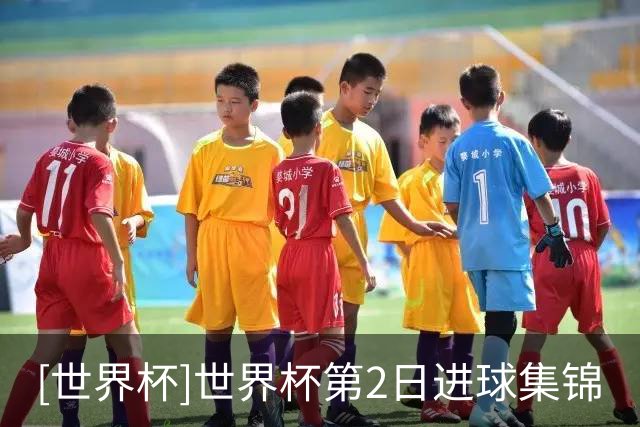 [世界杯]世界杯第2日进球集锦